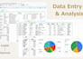 do japanese market research and business support